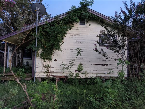 Rural Farm - Two House Property (8/12/2021 - Credits: Daniel Williams)