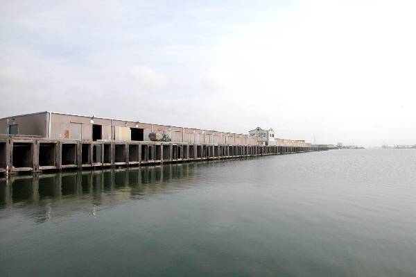 Port of Brownsville (3/4/2004)