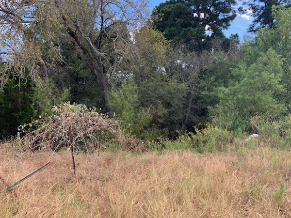 Rose Ranch (9/27/2021 - Credits: Roy Rose on my I-Phone)