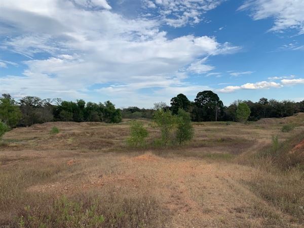 Rose Ranch (9/27/2021 - Credits: Roy Rose on my I-Phone)