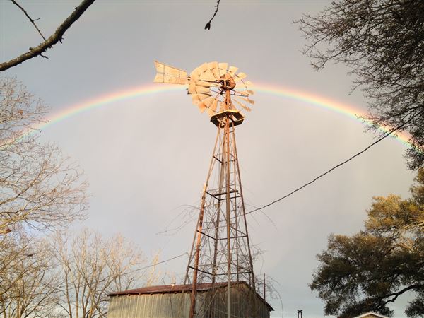 Pecan Grove Store (7/1/2020 - Credits: Rick Martin)