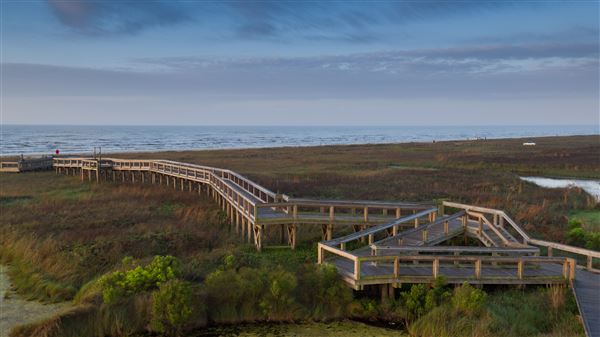 Sea Rim Boardwalk (10/7/2021 - Credits: Darragh Castillo)