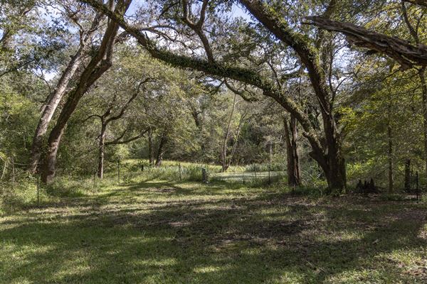 Wood Cabin at Chocolate Bayou Preserve (10/25/2021 - Credits: Visit Alvin)