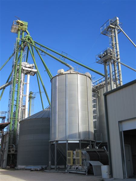 Top Tier Grain & Feed (1/21/2022 - Credits: Jane Jeschke)