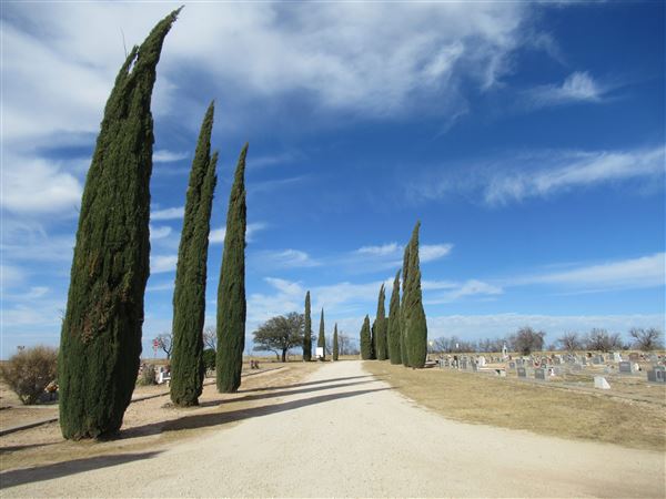 Miles Cemetery (1/19/2022 - Credits: Jane Jeschke)