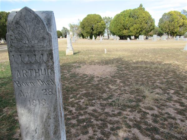 Miles Cemetery (1/19/2022 - Credits: Jane Jeschke)