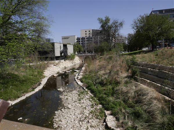 Waterloo Park (4/8/2022)