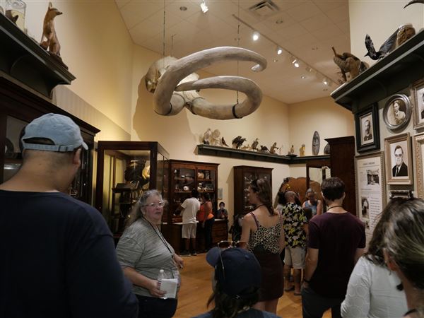 Mayborn Museum Complex (7/23/2022 - Credits: Matt Miller)