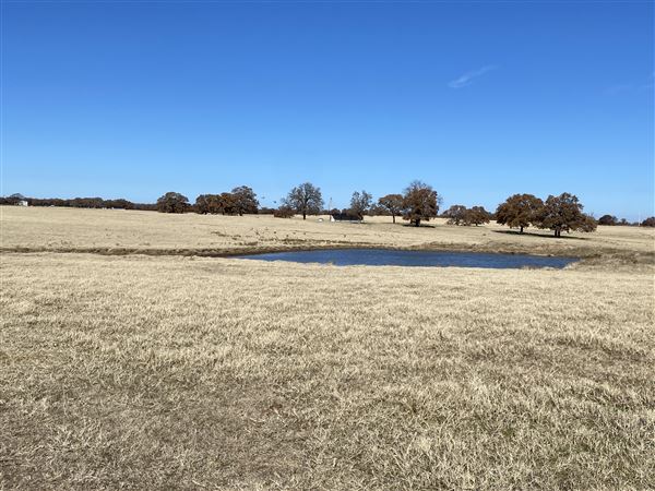 Fairlea Longhorn Ranch (12/7/2022)