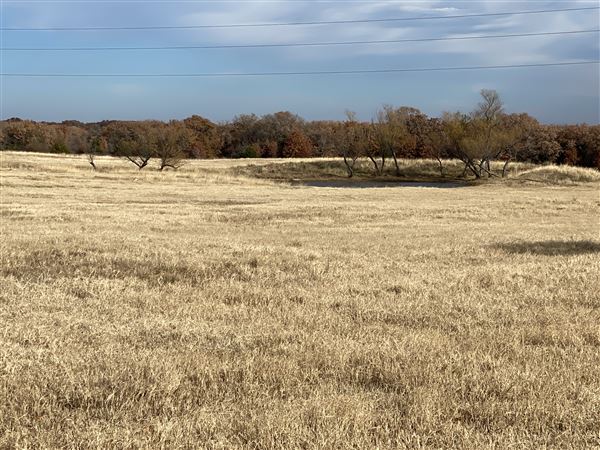 Fairlea Longhorn Ranch (12/7/2022)