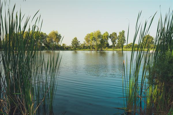 Seabourne Creek Nature Park (2/21/2022 - Credits: City of Rosenberg)