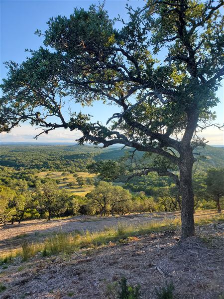 Kestrel Ranch (4/26/2021 - Credits: Kate Marr)