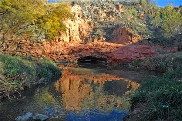 Borger Nature Trail (4/30/2017 - Credits: Charles Gillingham)