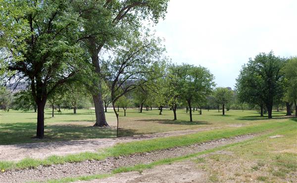 Big Bend National Park - Rio Grande Village (6/12/2010)