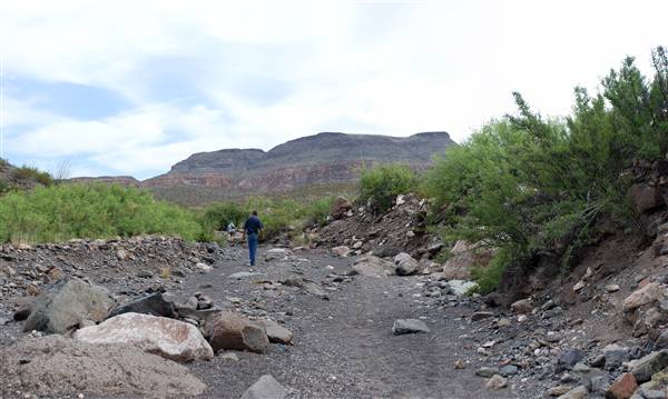 River Road - FM 170 (6/10/2010)