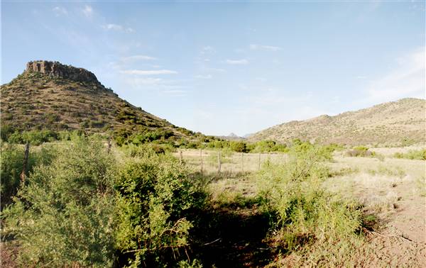 CF Ranch (6/10/2010)