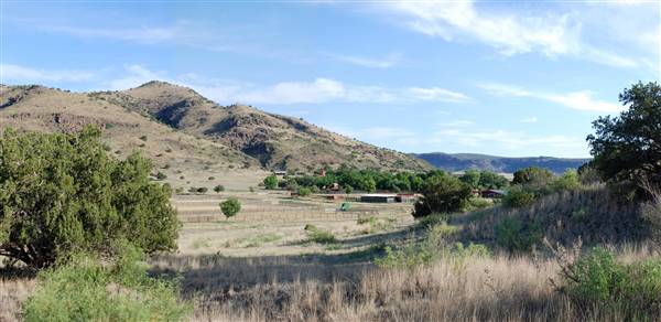 CF Ranch (6/10/2010)