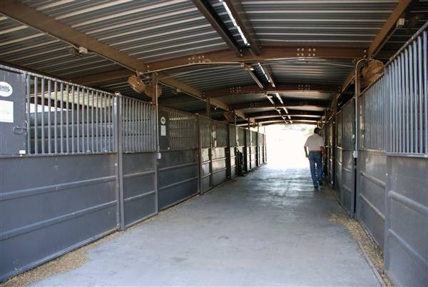 CF Ranch (6/10/2010)