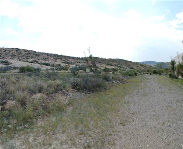 Big Bend Ranch State Park - Barton Warnock Environmental Education Center (9/17/2010)