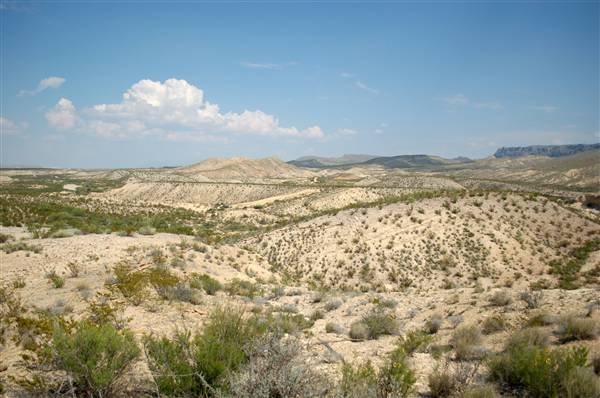 Big Bend Ranch State Park - Barton Warnock Environmental Education Center (9/17/2010)