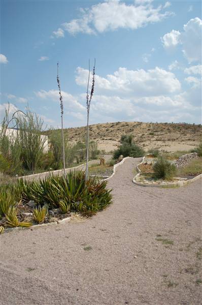 Big Bend Ranch State Park - Barton Warnock Environmental Education Center (9/17/2010)