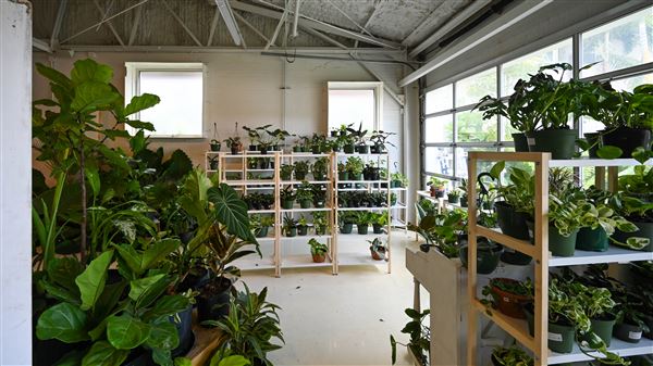 Eden Plant Co. (6/27/2023 - Credits: Houston Film Commission)
