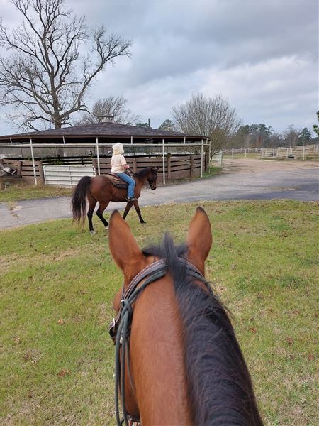 Hidden Meadows Ranch (7/6/2023 - Credits: Liza Clark)