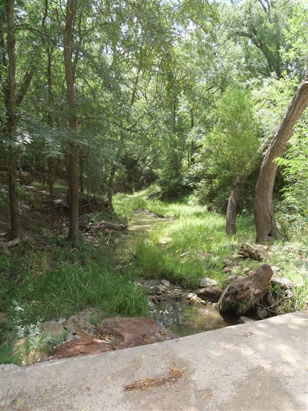 Spiderwood Studios 969 - Backlot (6/30/2023 - Credits: Matt Miller)