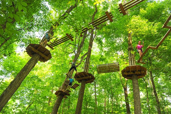 Go Ape Zipline and Adventure Park (5/1/2023 - Credits: Owner)