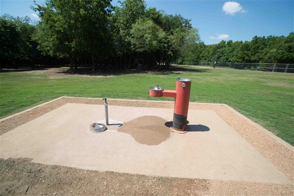 Tails 'N Trails Dog Park (5/1/2023 - Credits: Owner)