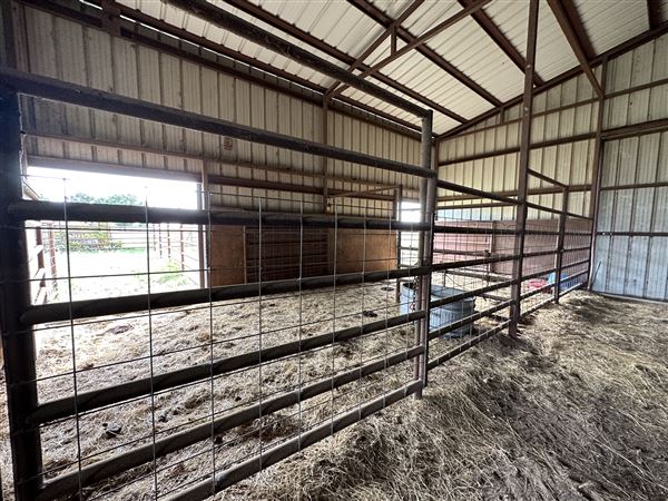 Fairlea Longhorn Ranch (7/20/2023 - Credits: K.Beck)