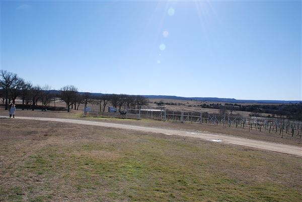 Blue Ostrich Winery & Vineyard (1/27/2023 - Credits: Gabriel Ornelas)
