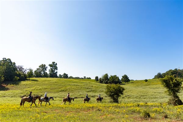 Dead Cat Ranch (9/21/2023 - Credits: Betts DEAD CAT RANCH)