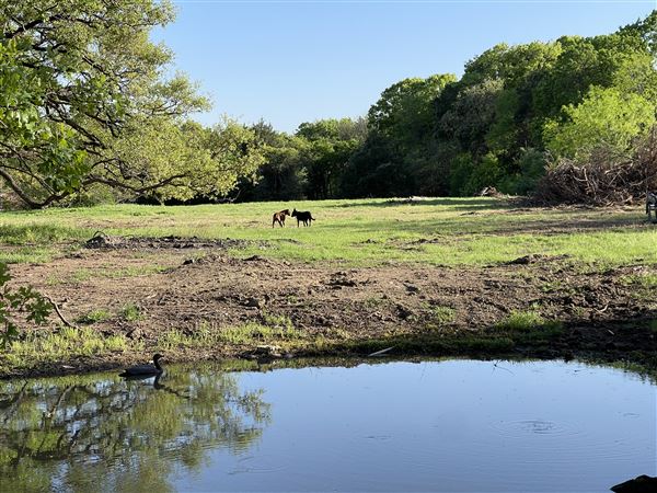 Arkikosa Ranch (10/10/2023 - Credits: submitted by: JODI SIMONS)
