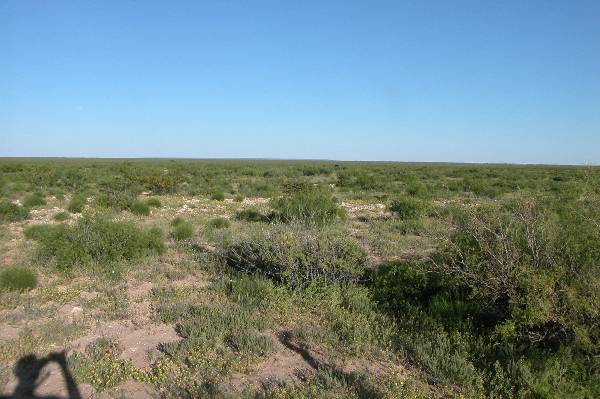 Descent of the Llano Estacado (5/3/2004)