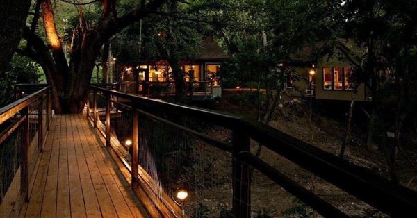 River Road Treehouses (1/9/2024 - Credits: River Road Treehouses)