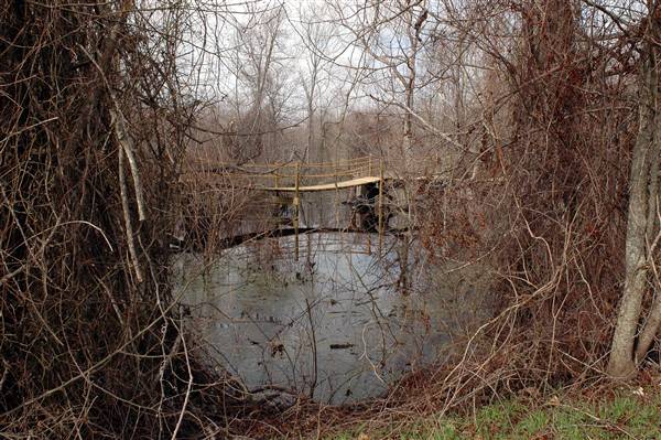 Mineola Nature Preserve (2/11/2009 - Credits: FFTX)