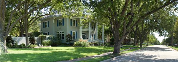 College Street Neighborhood (7/26/2010)