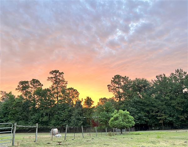 Pine Acres Farm (7/21/2023 - Credits: Bonnie Hubert)
