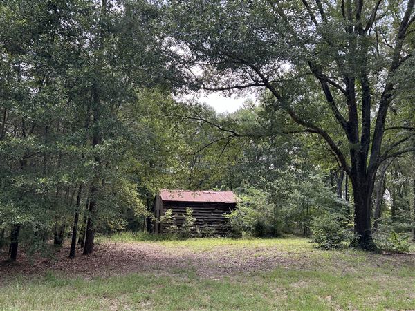 Flournoy Farm (9/24/2024 - Credits: submitted by: Sue Wisdom)