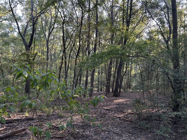 Flournoy Farm (9/24/2024 - Credits: submitted by: Sue Wisdom)