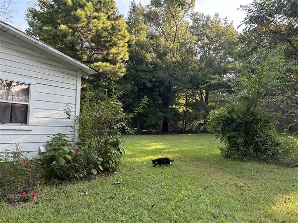 Flournoy Farm (9/24/2024 - Credits: submitted by: Sue Wisdom)