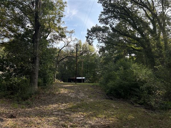Flournoy Farm (9/24/2024 - Credits: submitted by: Sue Wisdom)