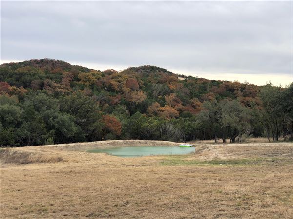 Double T Ranch (9/1/2024 - Credits: David Saidi)