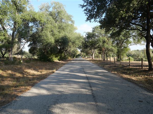 Jones Road (10/29/2024 - Credits: Alex Payne)