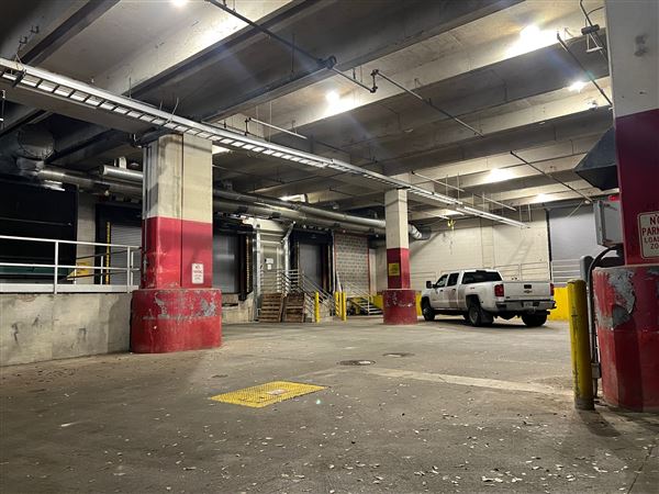 Vivaverse Campus (4/21/2025 - Credits: Ulises Vidal)