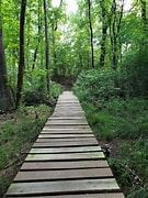 Bringle Lake Park (3/7/2025 - Credits: submitted by: Brooke Stone)