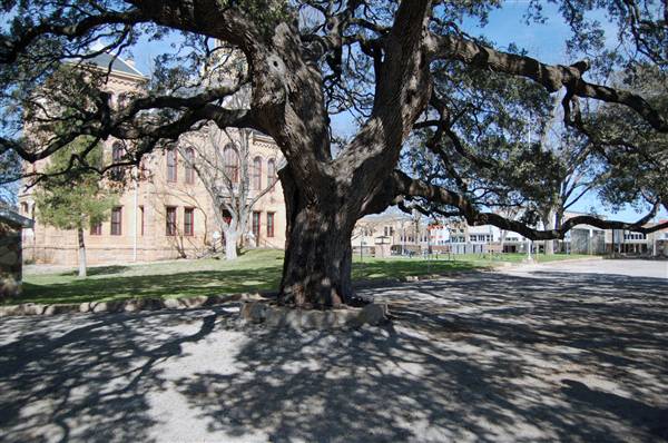 Llano (2/23/2012)