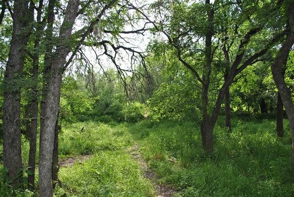 Phil Hardberger Park (4/7/2012)