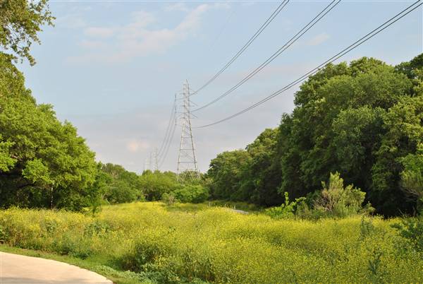 Phil Hardberger Park (4/7/2012)
